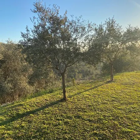 Avec Piscine Chauffee Collines Villa *