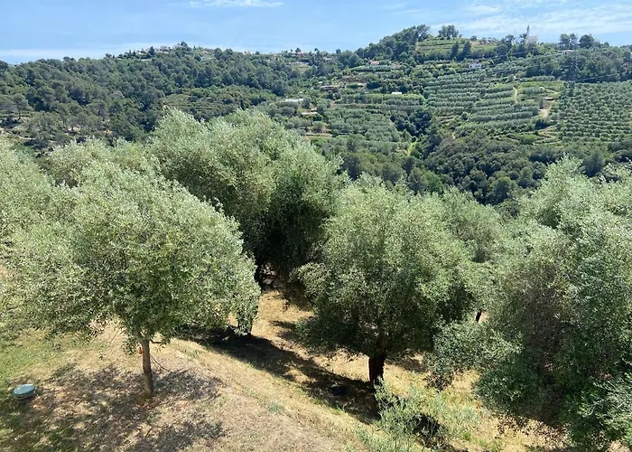 Avec Piscine Chauffee Collines Villa