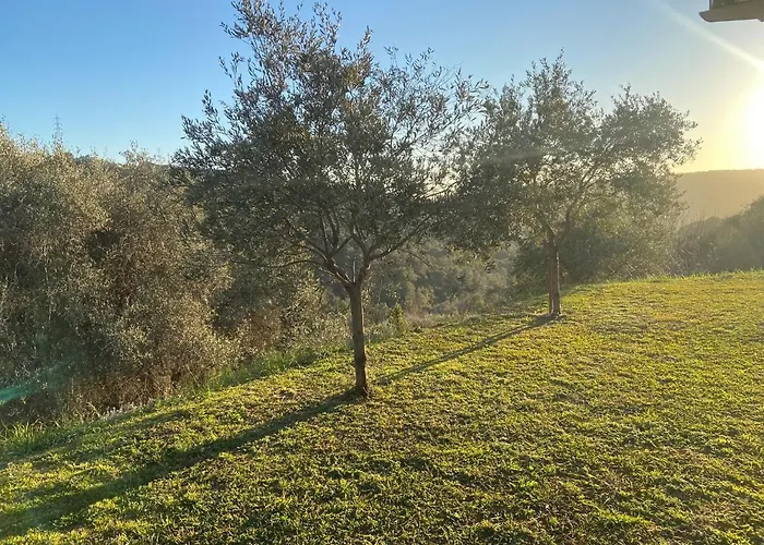 Avec Piscine Chauffee Collines Villa *